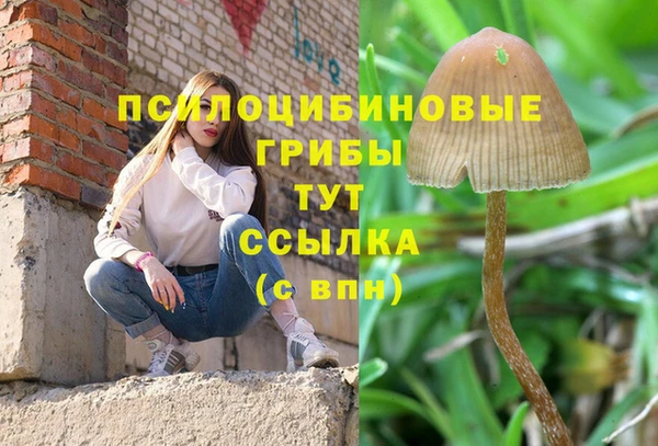 первитин Алексин