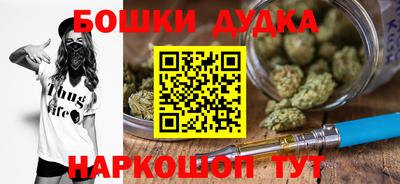 гашик Кинель