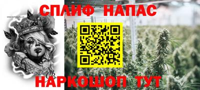 гашик Кинель