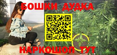гашик Кинель