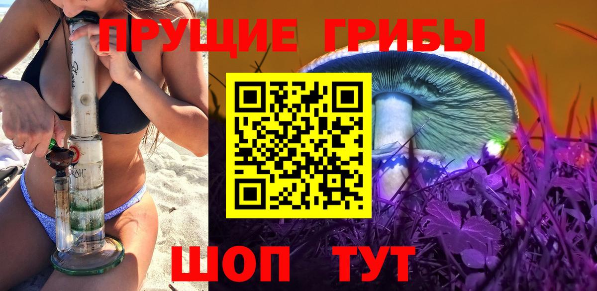 Галлюциногенные грибы мухоморы Лесосибирск