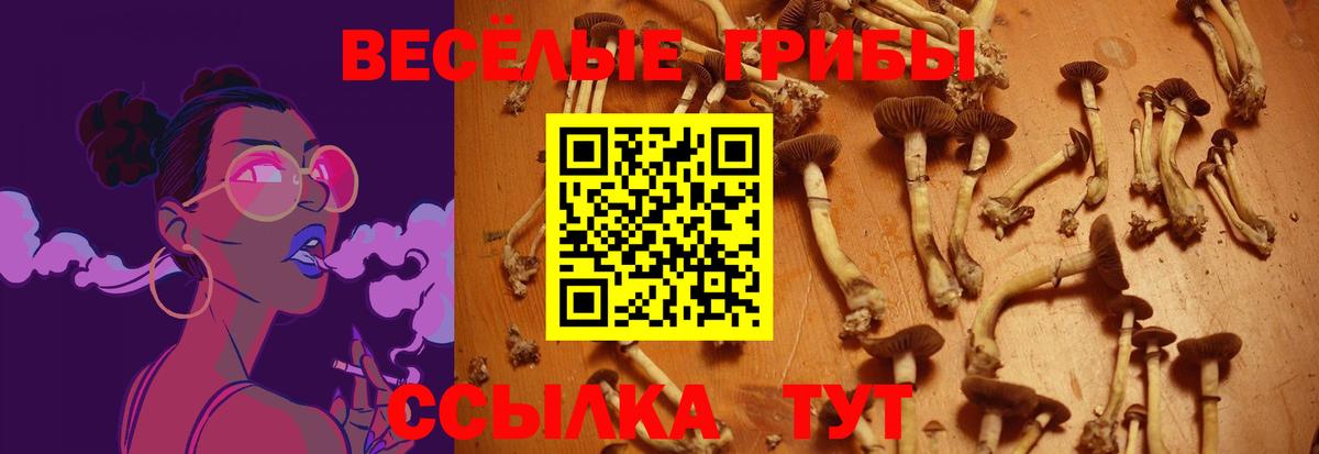 Лесосибирск  Галлюциногенные грибы MAGIC MUSHROOMS  Вход с VPN 